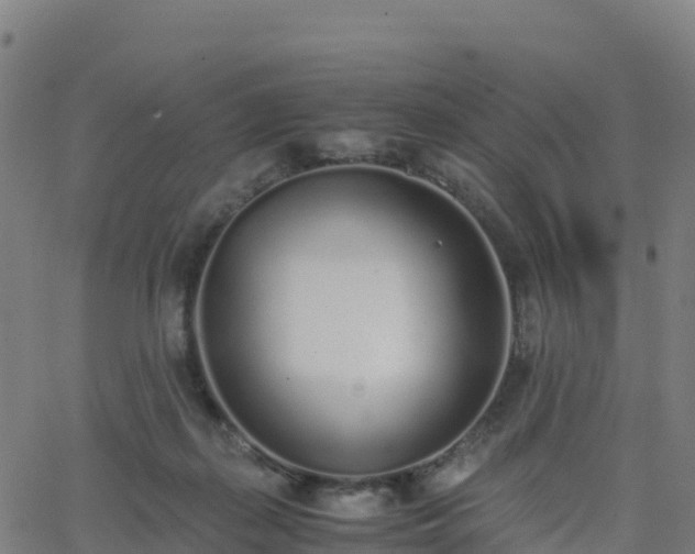 X0000062670267200512230954