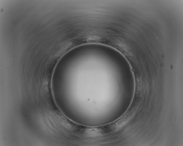 X0000062670269200512230954