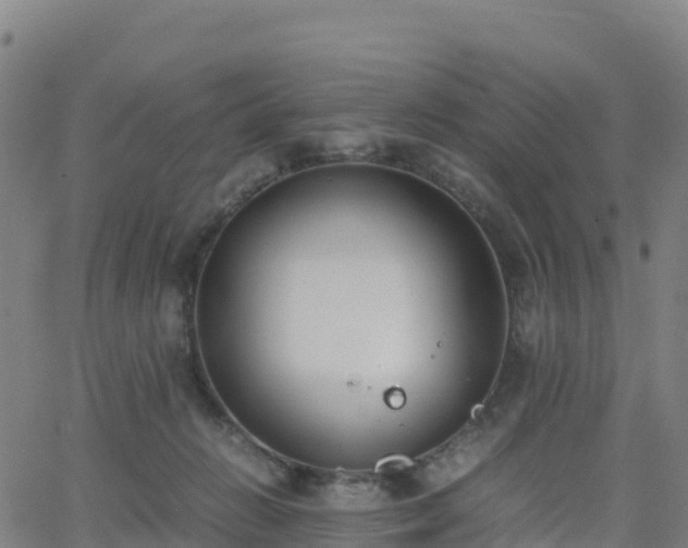 X0000062670270200512230954