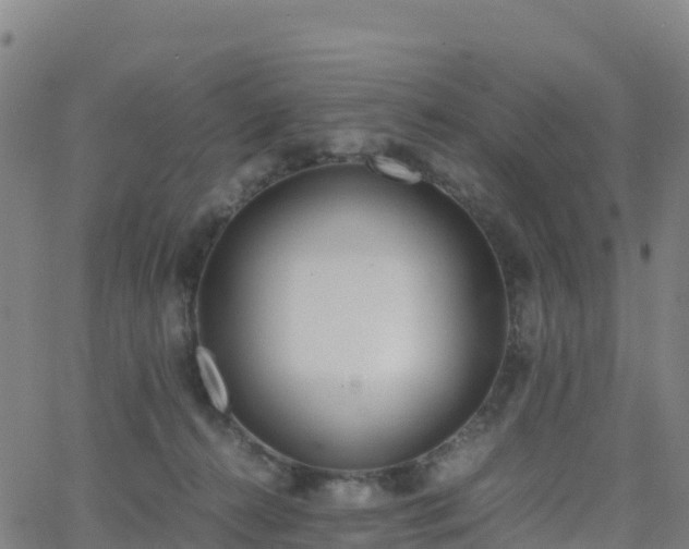 X0000062670272200512230954