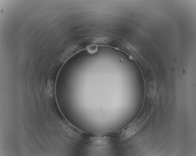 X0000062670273200512230954