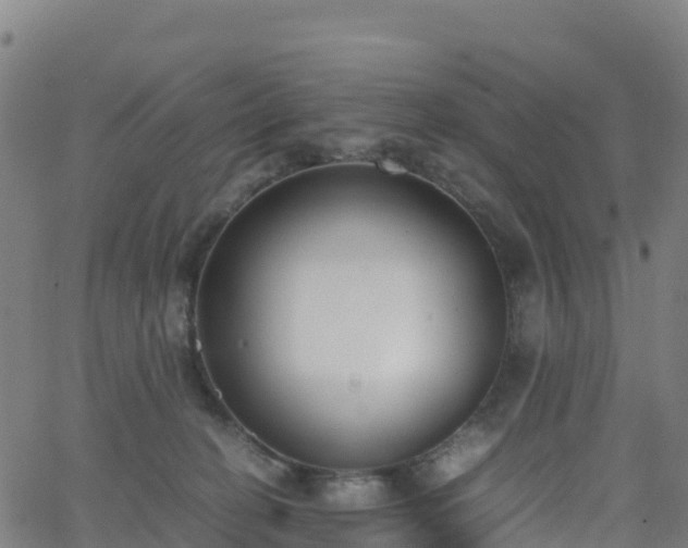 X0000062670274200512230954