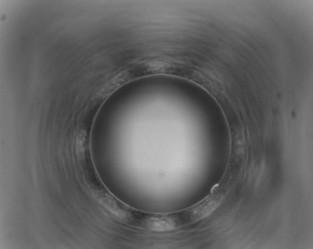 X0000062670275200512230954