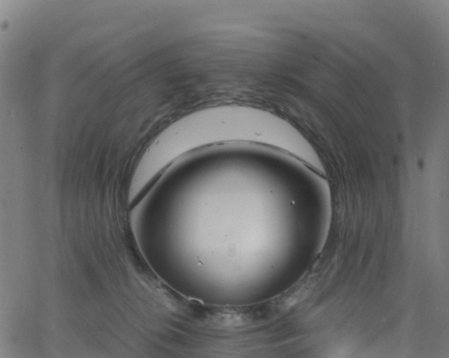 X0000062670276200512230954