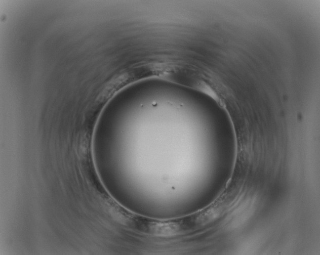 X0000062670277200512230954