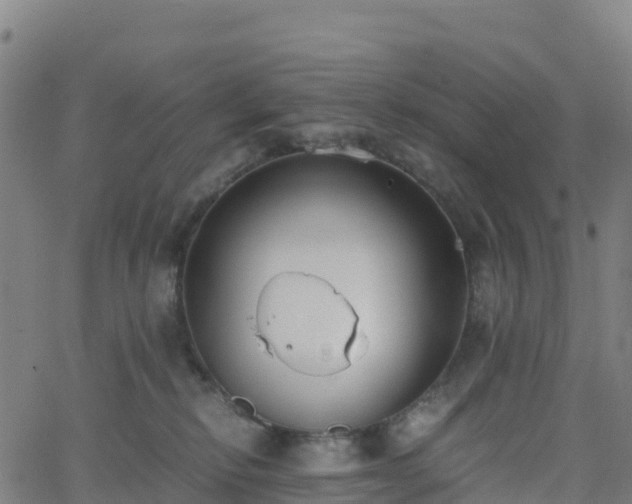 X0000062670278200512230954