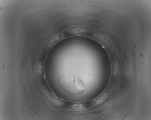 X0000062670279200512230954