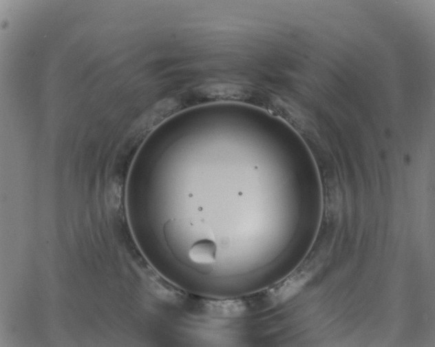 X0000062670281200512230954