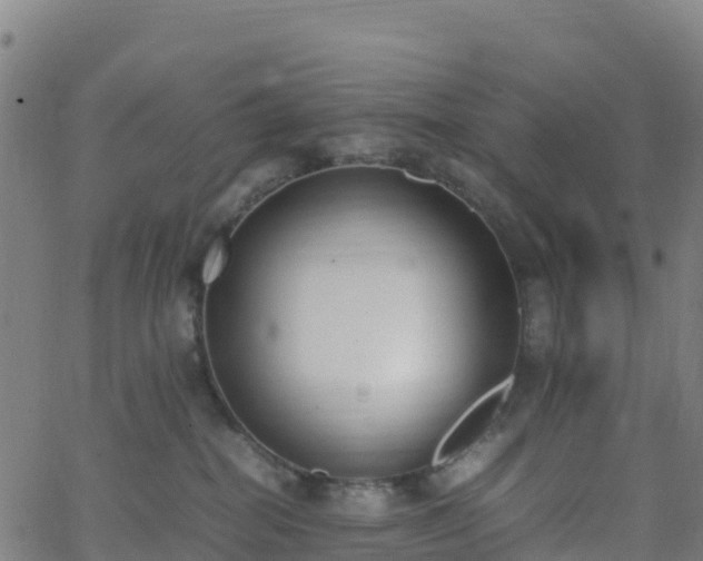 X0000062670282200512230954