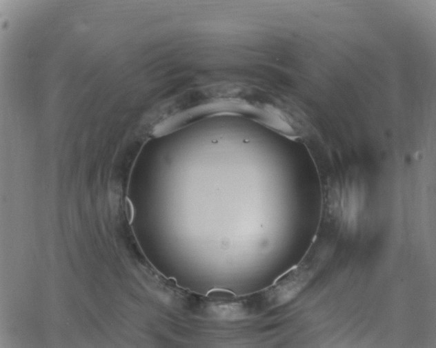 X0000062670283200512230954