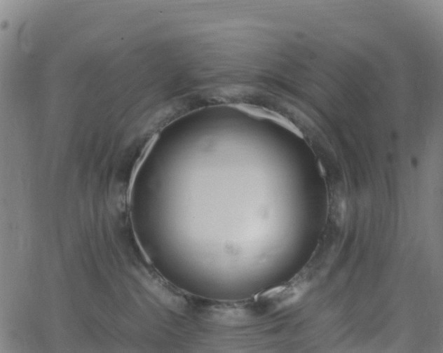 X0000062670284200512230954