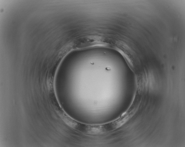 X0000062670285200512230954