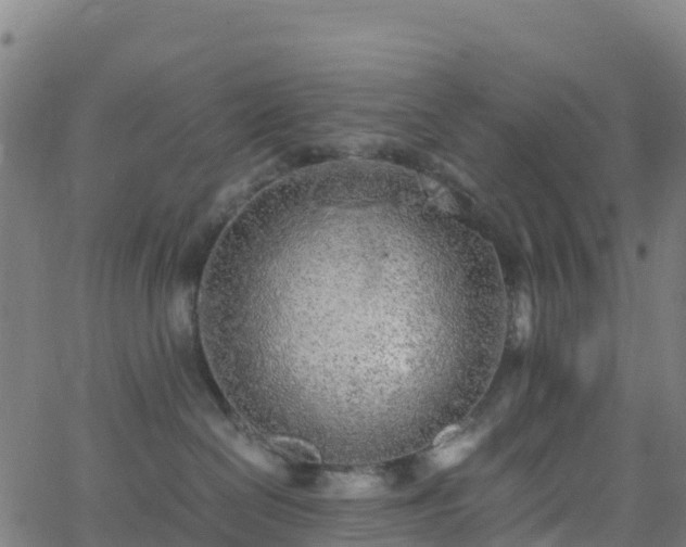 X0000062670286200512230954