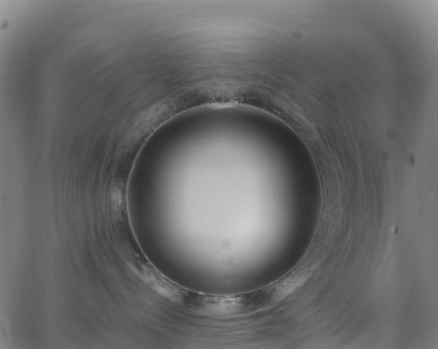 X0000062670288200512230954