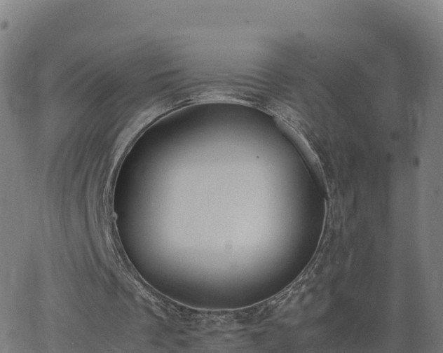 X0000062670289200512230954