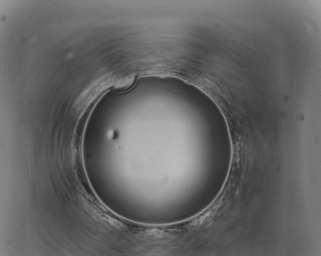 X0000062670290200512230954