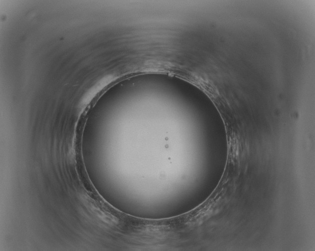 X0000062670292200512230954