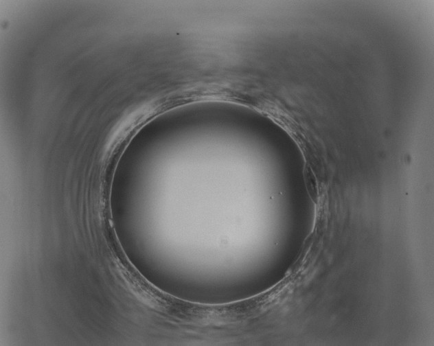 X0000062670293200512230954