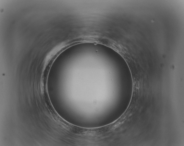 X0000062670294200512230954