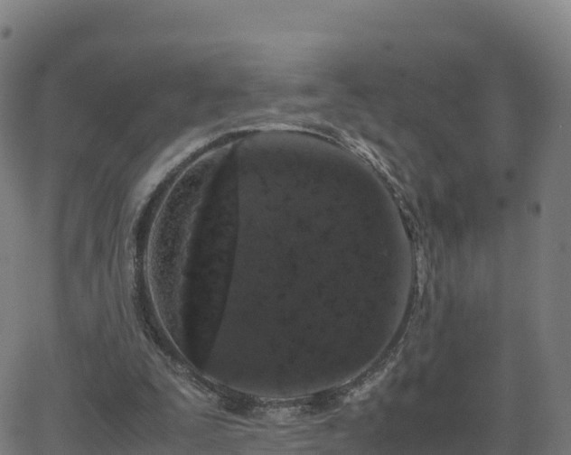 X0000062670295200512230954