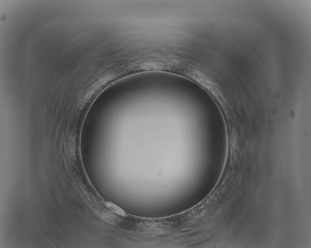 X0000062670297200512230953