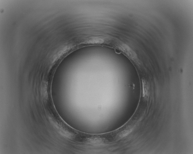 X0000062670300200512230953