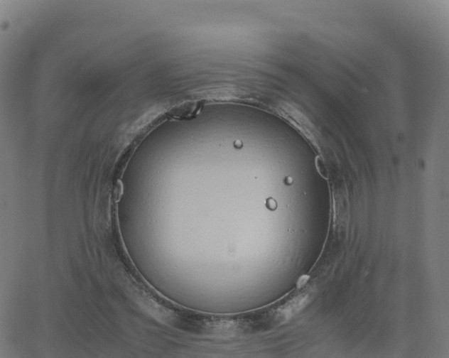 X0000062670301200512230953