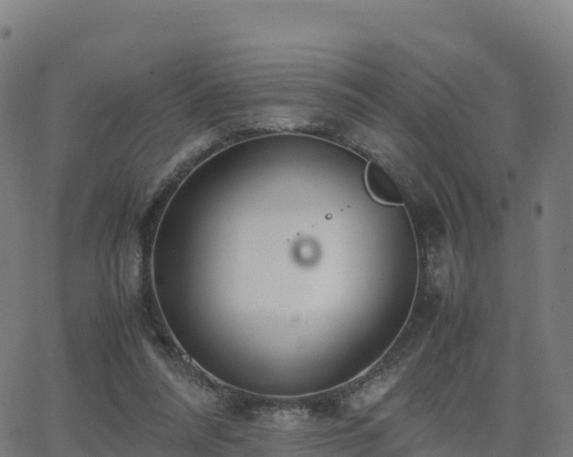 X0000062670304200512230953