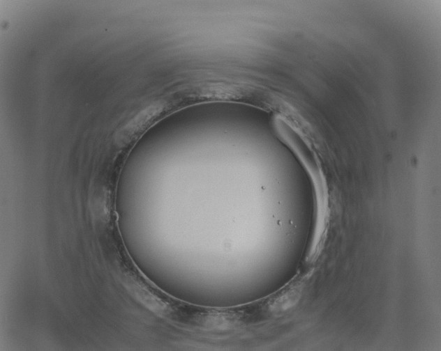 X0000062670305200512230953