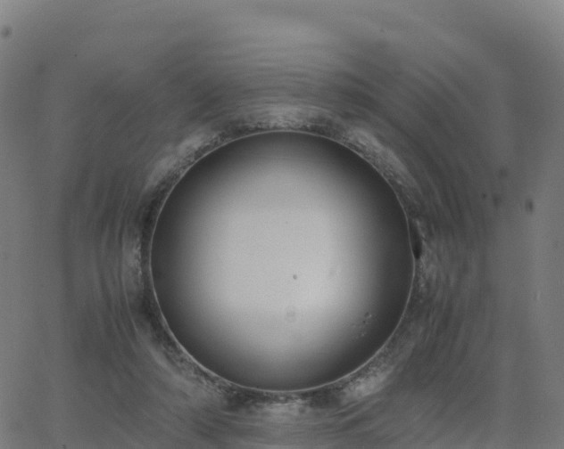 X0000062670306200512230953