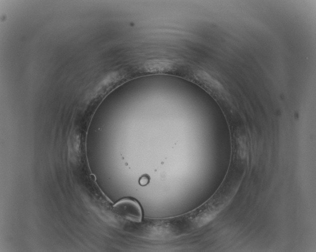 X0000062670308200512230953