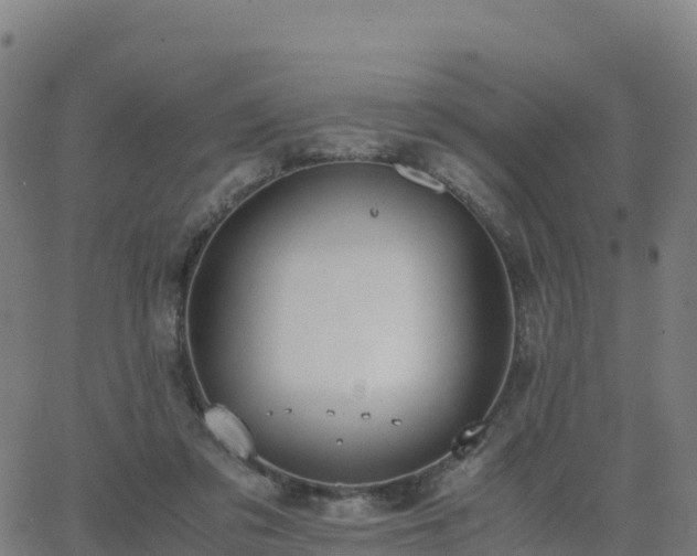 X0000062670309200512230953