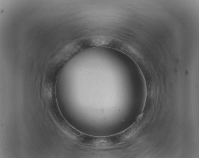 X0000062670315200512230953