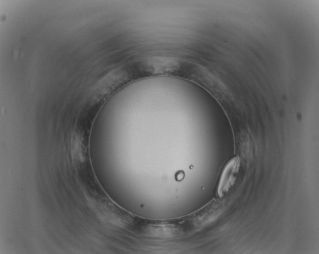 X0000062670316200512230953