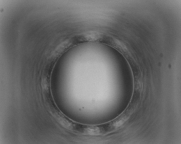 X0000062670317200512230953