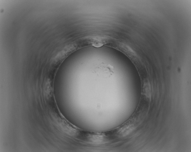 X0000062670318200512230953