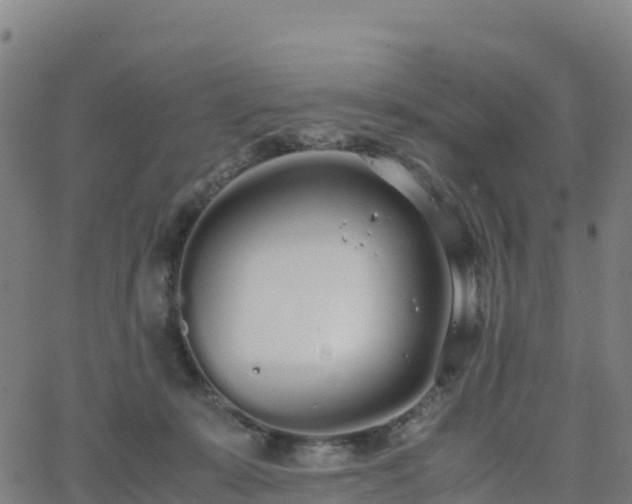 X0000062670319200512230953