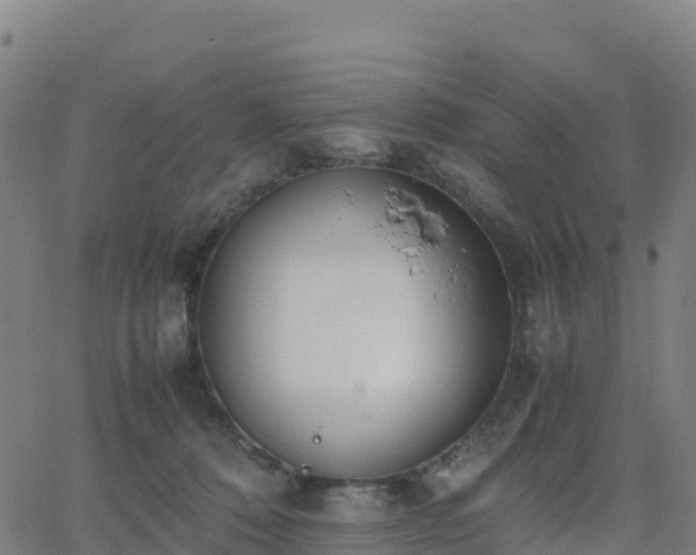 X0000062670320200512230953