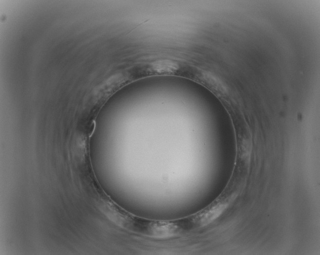 X0000062670321200512230953