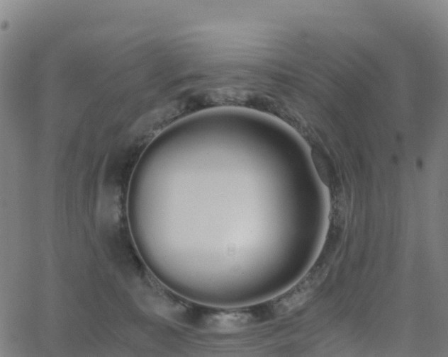 X0000062670323200512230953