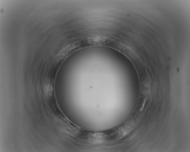 X0000062670324200512230953