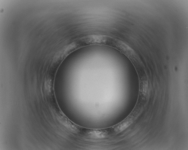 X0000062670326200512230953