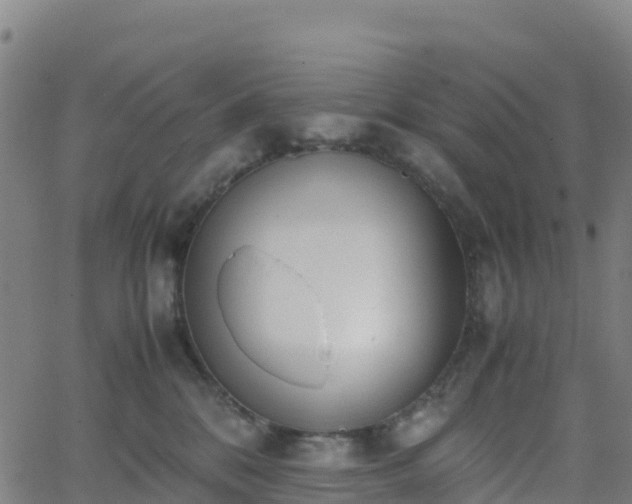 X0000062670328200512230953