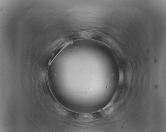 X0000062670329200512230953