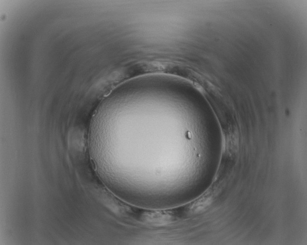 X0000062670331200512230953