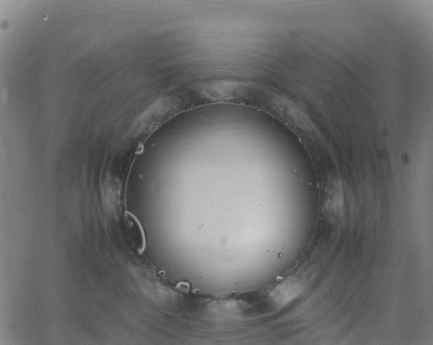 X0000062670332200512230953