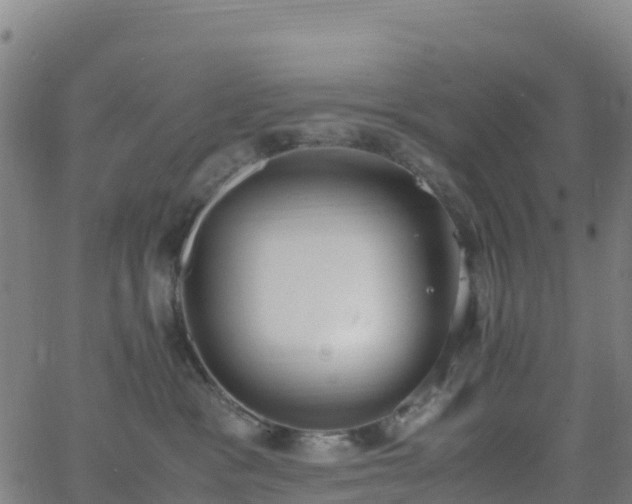 X0000062670333200512230953