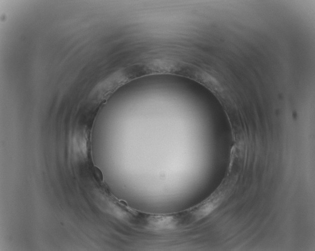 X0000062670334200512230953