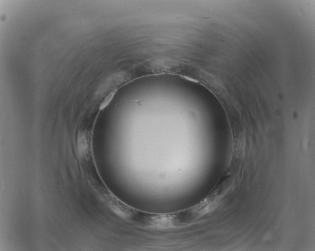 X0000062670335200512230953