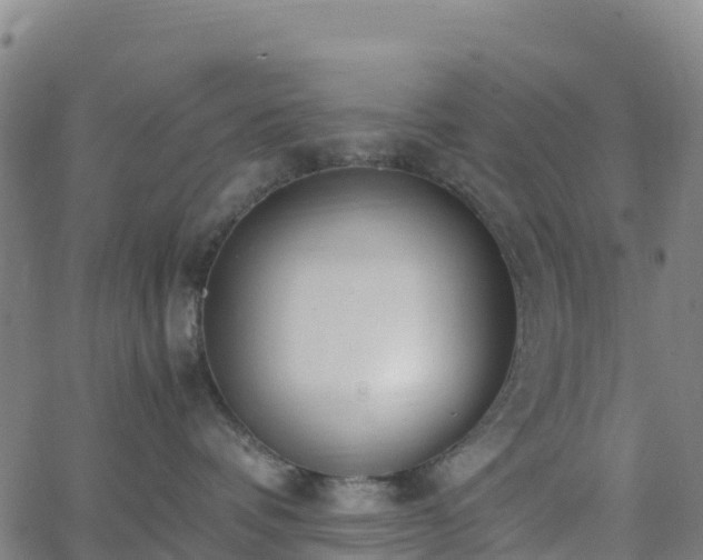 X0000062670336200512230953